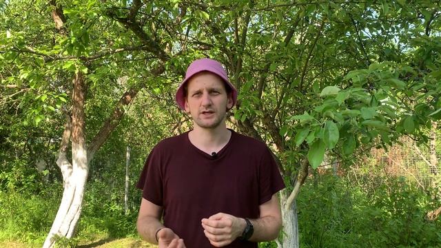 Оферта или пользовательское соглашение? смотреть онлайн