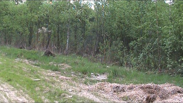 Я остаюсь. Песня Крупнова смотреть онлайн