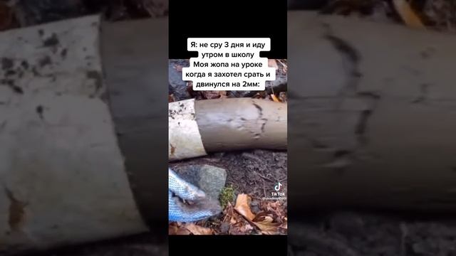 понос после школьной столовки