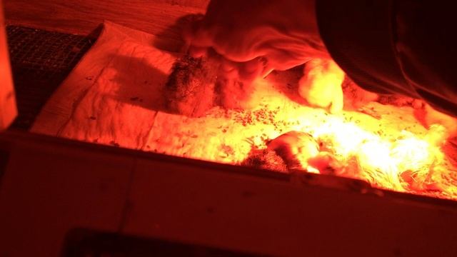 09-05-2023 смотреть онлайн