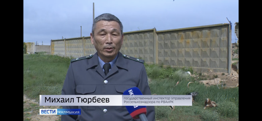 Управление Россельхознадзора напоминает о необходимости соблюдения ветеринарного законодательства смотреть онлайн