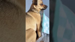 Доброе утро ☀️