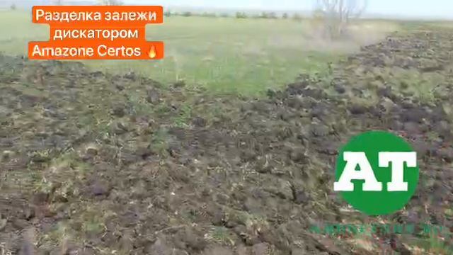 Разделка залежи дискатором Amazone Certos ?#amazone #tillage #certos #диски #дискатор #борона #egge