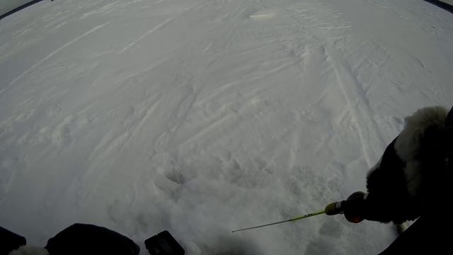 Рыбалка отчёт за 23 февраля.судак смотреть онлайн