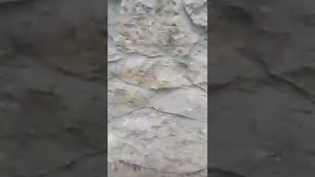 В Айрапорт Айр смотреть онлайн