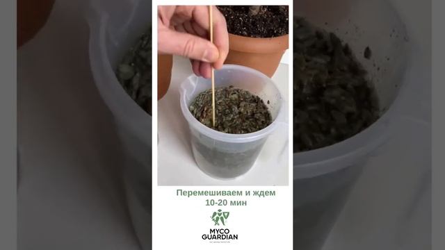 Приготовление концентрата раствора триходермы смотреть онлайн