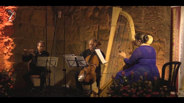 Marina Fradin- Haydn Trio in D-Major: for Flute, Cello& harp смотреть онлайн