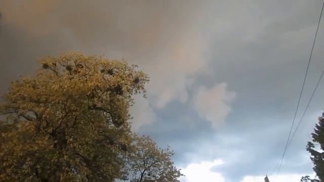 Ветер Игра Цветов Авто Настройка Фотоаппарата (Nature. Seasons) смотреть онлайн