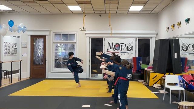 Demonstration team performed at birthday party! смотреть онлайн