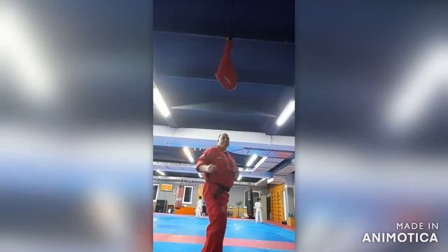 Удары ногами #taekwondo #sports #тхэквондо смотреть онлайн