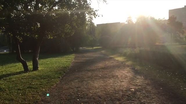 Техника бега. смотреть онлайн