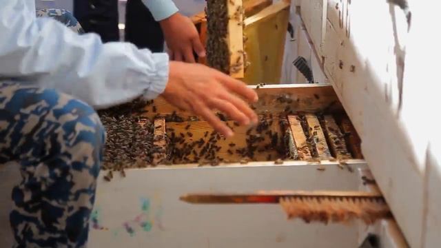 1 января 2023 г. смотреть онлайн