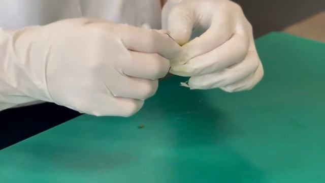 Мастерята. Поварское дело. 4 класс смотреть онлайн