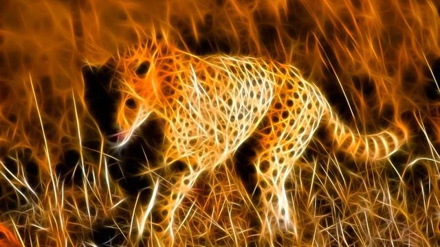 African music: colours of Africa смотреть онлайн