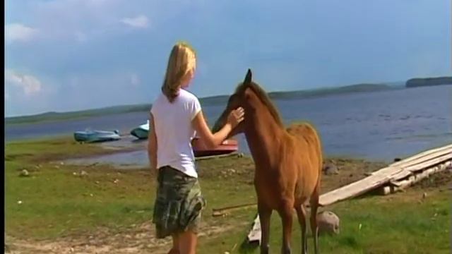 Кенозерские лошади С дочкой по Русскому Северу смотреть онлайн