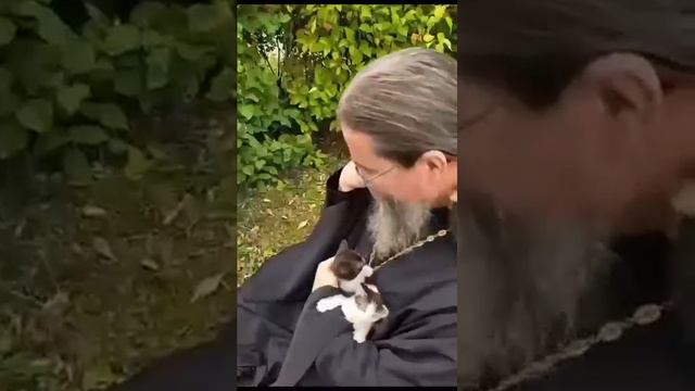 #кошки *лучшие друзья*даже после смерти#жизнь