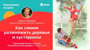 Какие плодовые деревья и кустарники можно размножить черенками и как это сделать