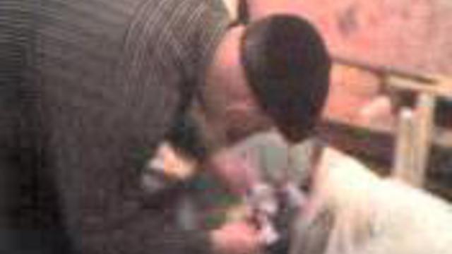 БЕШЕННЫЙ заяц