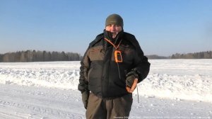 В помощь гончатникам! GPS ошейник Artelv Tracker для отслеживания собак.