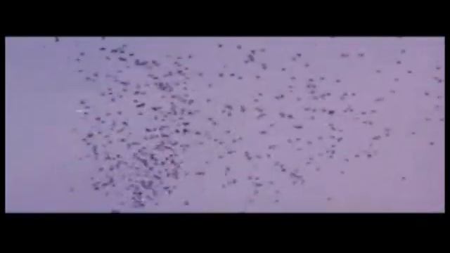 Hindi Bollywood video + REM Man on The Moon Andy Kaufman смотреть онлайн