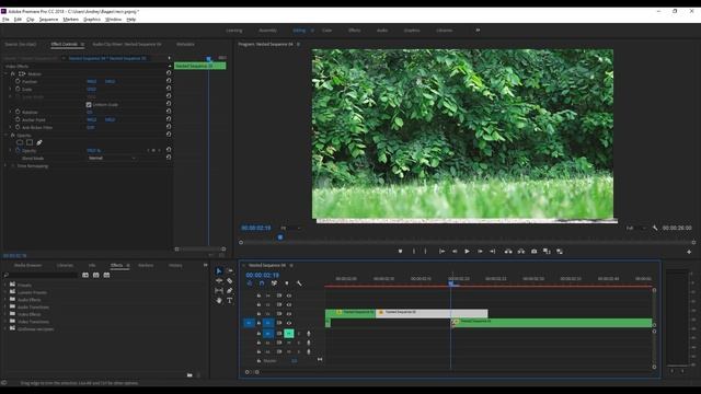 Эффект ПЕРЕМЕЩЕНИЯ во ВРЕМЕНИ | Урок PREMIERE PRO смотреть онлайн