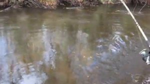 Ловля ленка на спиннинг 24.09.2013г. на р. М.Хурба