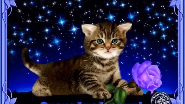 Спокойной ночи ? Приятных и Нежных снов ??? смотреть онлайн