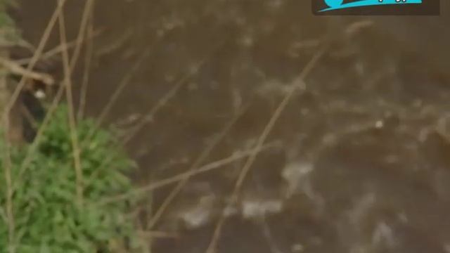 Гражданка / «Малые родины большого Петербурга» смотреть онлайн