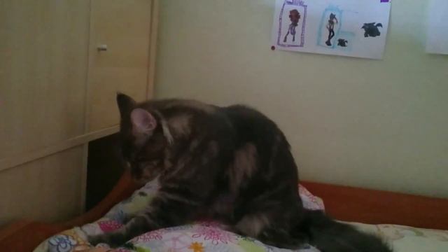 Василий взбивает подушку смотреть онлайн