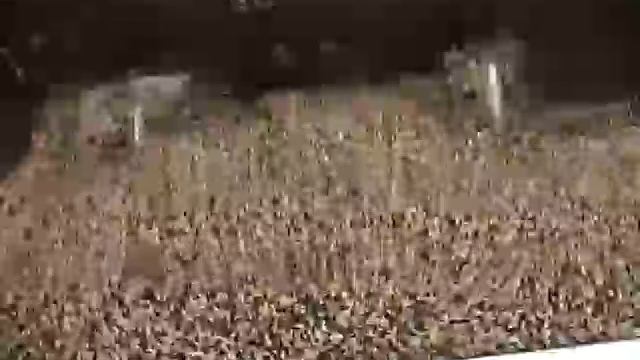 Paddle Mixer 1 смотреть онлайн