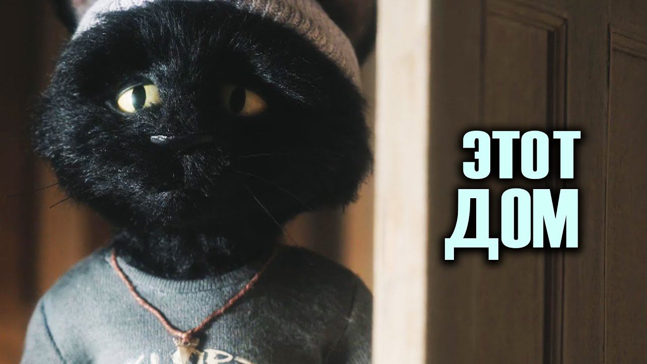 ДРАМА КОШАКОВ (Снова кошки ?) смотреть онлайн