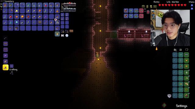 ADRIAN plays TERRARIA BEEKEEPER CLASS смотреть онлайн