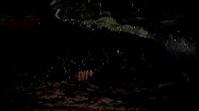 Magic Affair - Fly Away смотреть онлайн