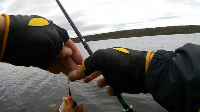 2 серия. Экспедиция на Кольский. Кочкозеро. Гигантская щука атакует. смотреть онлайн