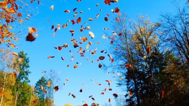 Эрих Мария Рильке Осень смотреть онлайн
