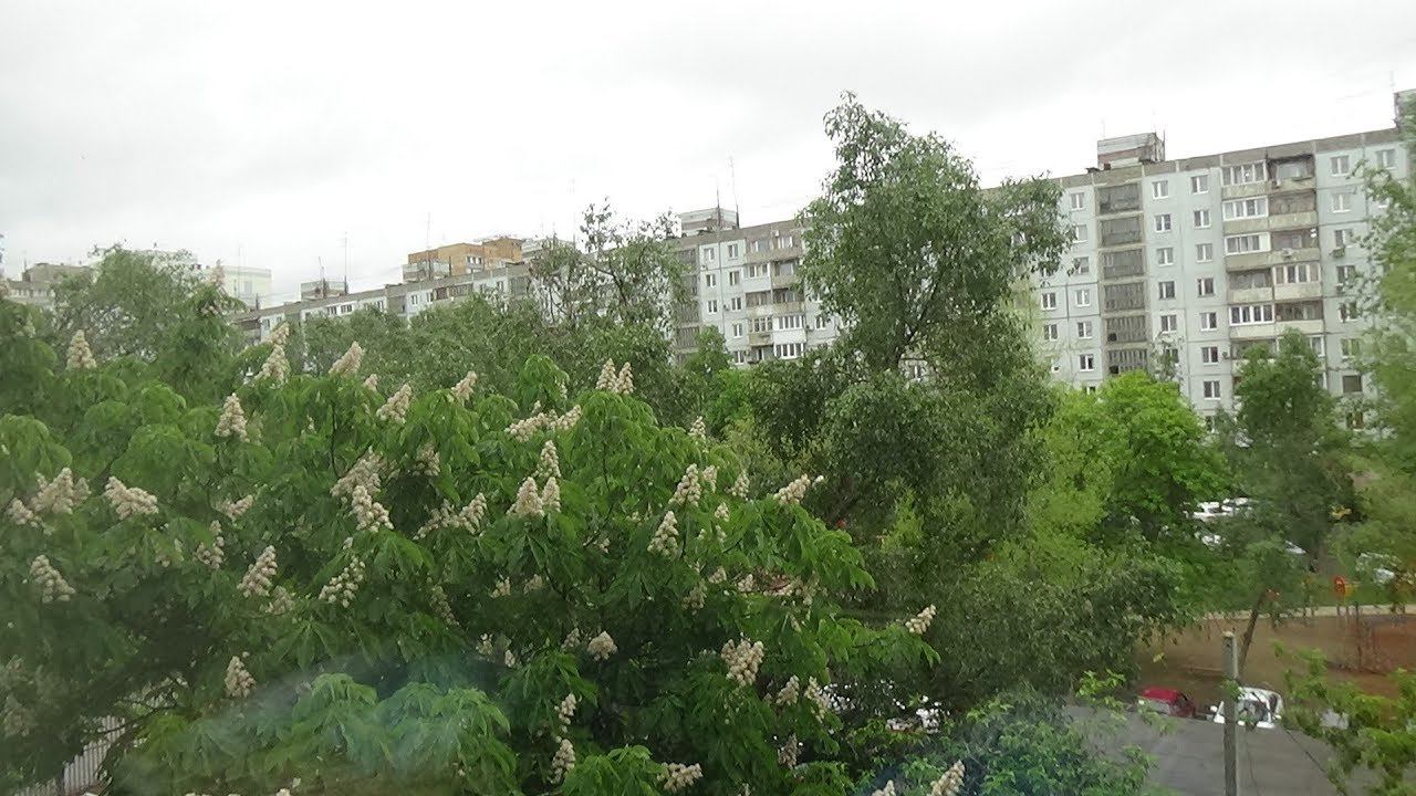 Art Manij VLOG Дела  диалог с сыном разбираемся я или не я