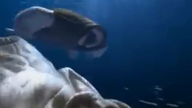 PUB Ariston Aqualtis смотреть онлайн