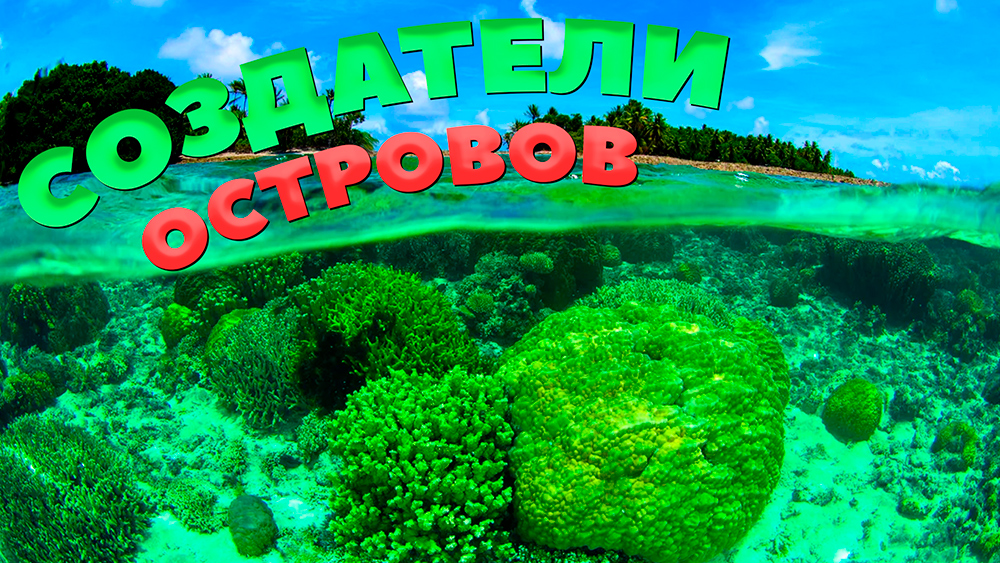 Создатели островов / Коралловые острова и другие познавательные факты о море и океане смотреть онлайн