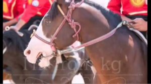 Аалы Туткучев"Тулпарлар"