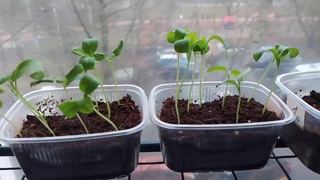 Низкий старт начала сезона. смотреть онлайн