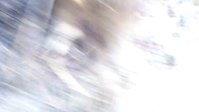 Нашли крысу смотреть онлайн