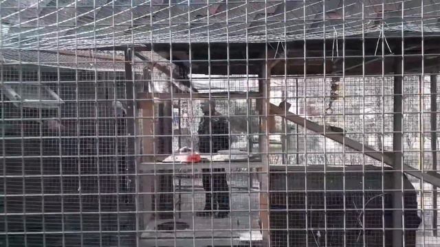 Орехово-Зуево. 23 апреля 2022г. смотреть онлайн