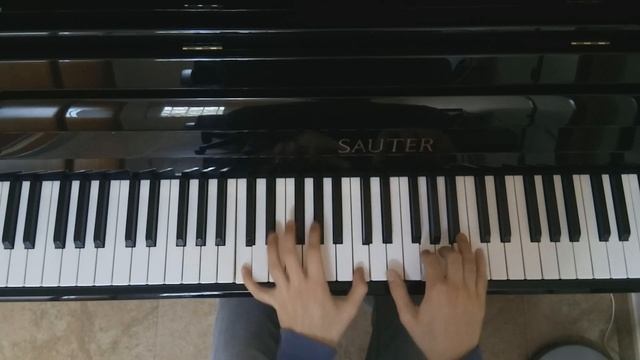 Stal - C418 | Minecraft Music Disc | Piano Cover смотреть онлайн