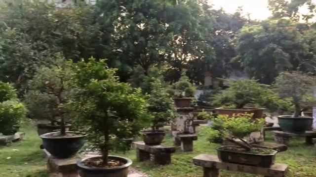 VLOG: park in Zhongshan city | гуляю по китайским паркам часть # 1 смотреть онлайн