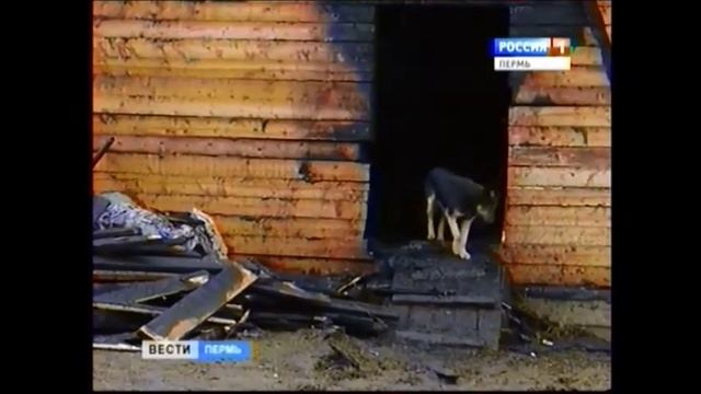 В Перми сгорела частная конюшня смотреть онлайн