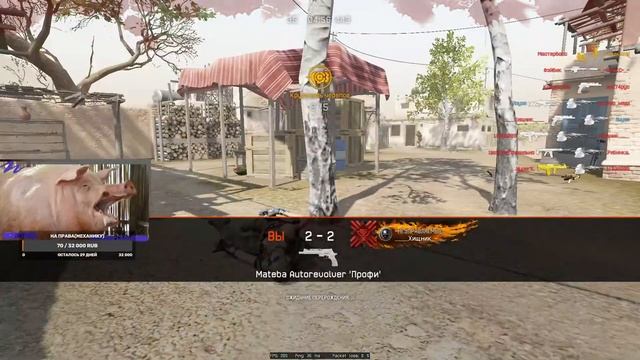 Стрим на день рождения | Играем фтойд | Warface смотреть онлайн