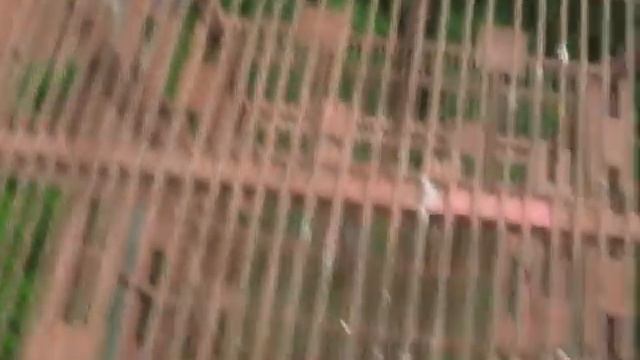 Вышка рядом со стадионом МИЭТ, Зеленоград смотреть онлайн