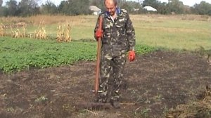 Тестирование ручной картофелекопалки и приспособления для обработки почвы
