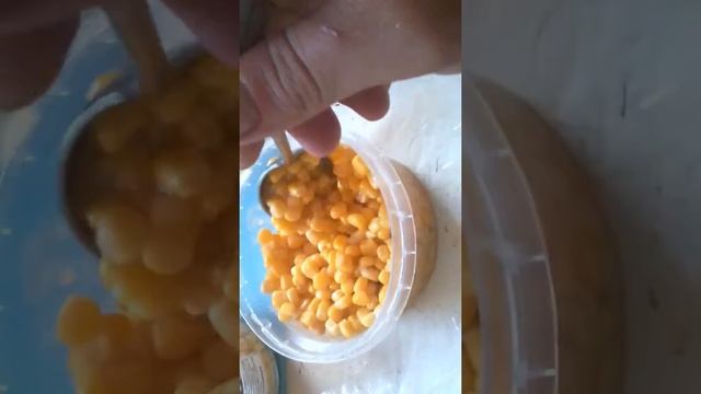 Кукуруза с медом для рыбалки из банки. смотреть онлайн