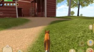 Cat Simulator | Кот на ферме | Симулятор кота | Выполняем задания